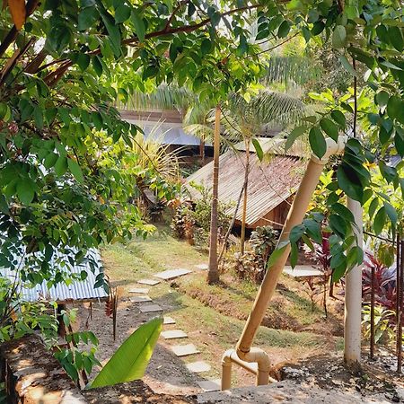 Xingu Camping Site Leticia Luaran gambar