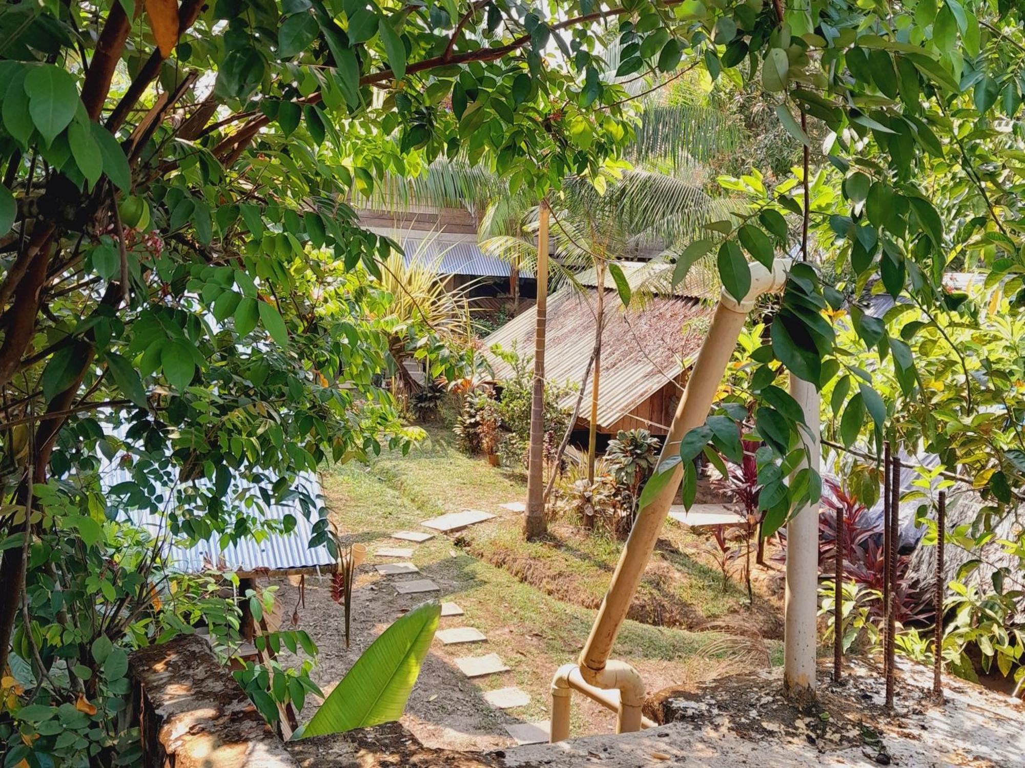 Xingu Camping Site Leticia Luaran gambar