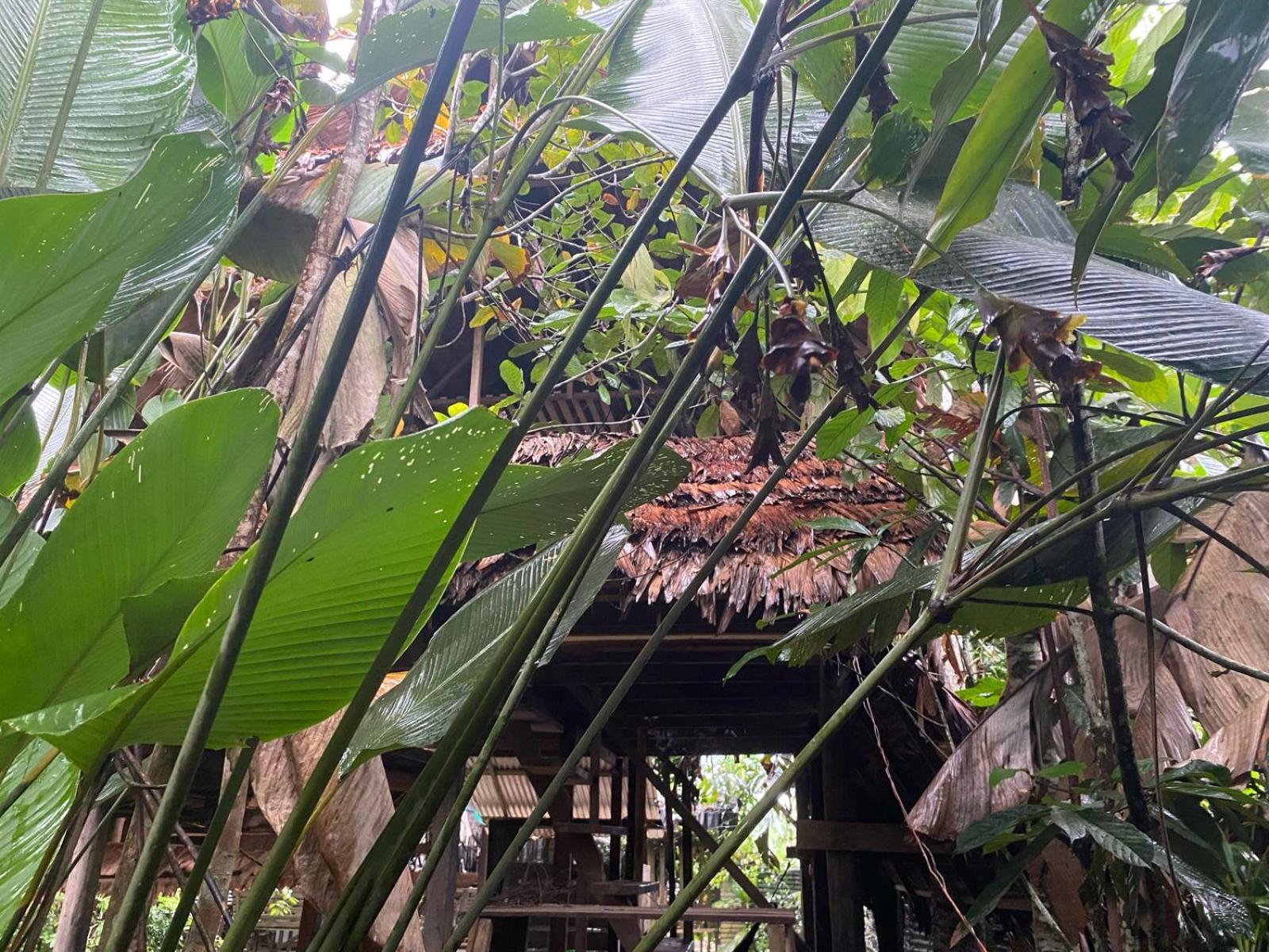 Xingu Camping Site Leticia Luaran gambar