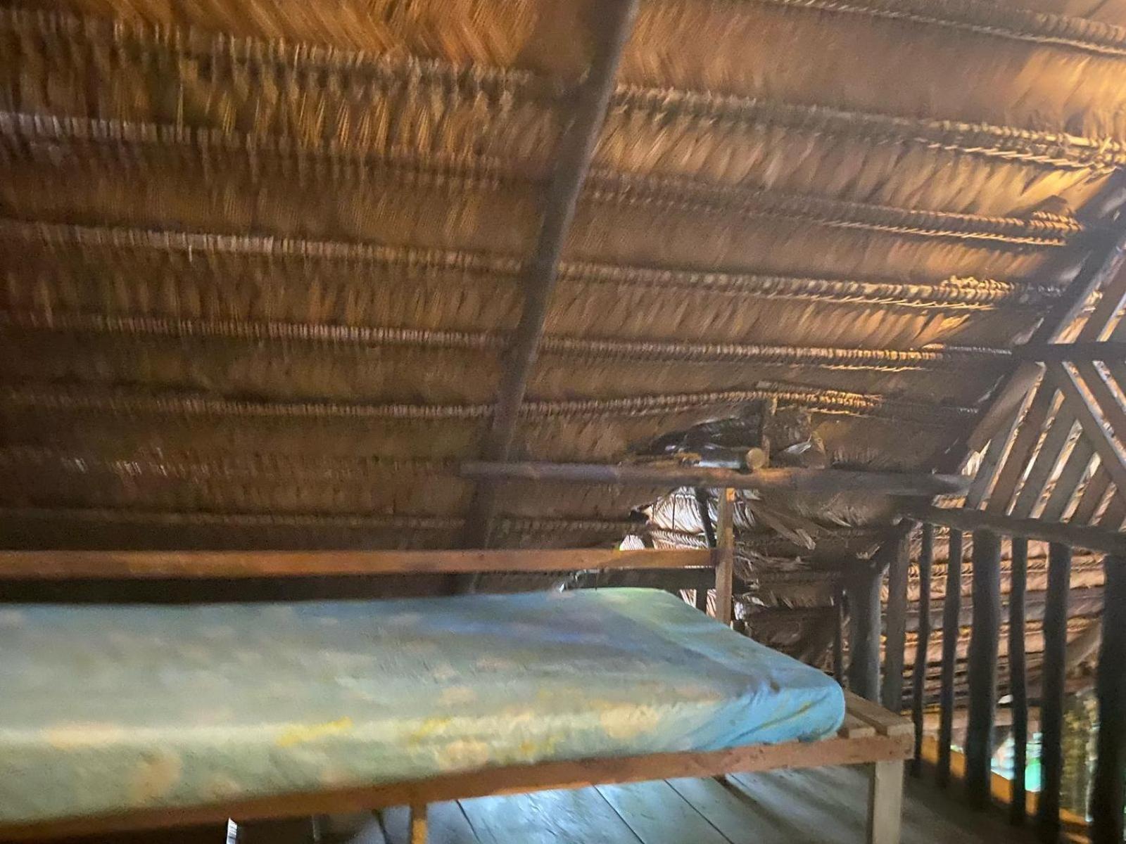 Xingu Camping Site Leticia Luaran gambar