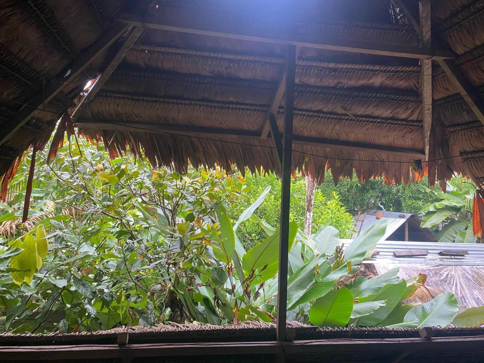 Xingu Camping Site Leticia Luaran gambar