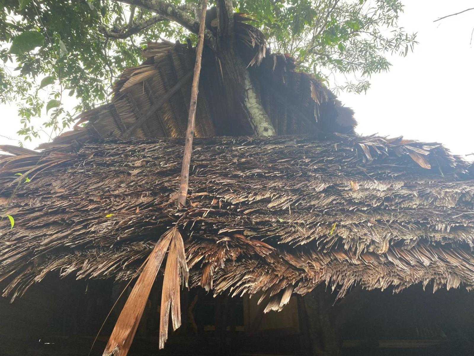 Xingu Camping Site Leticia Luaran gambar