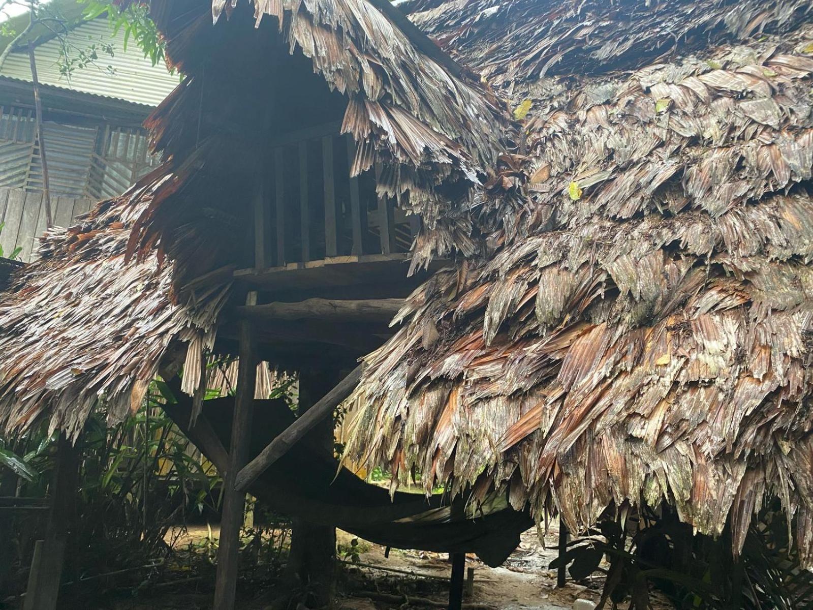 Xingu Camping Site Leticia Luaran gambar