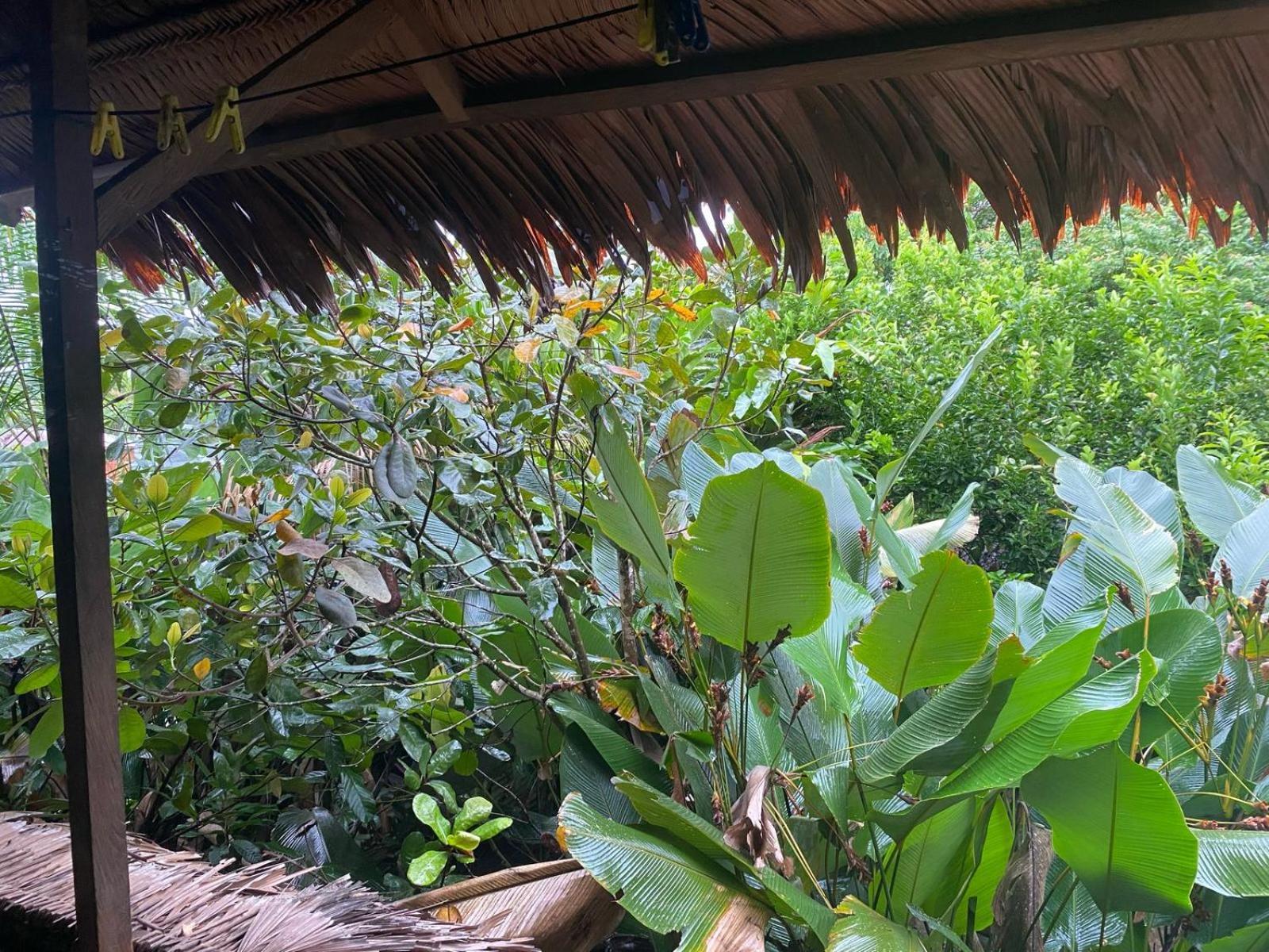 Xingu Camping Site Leticia Luaran gambar