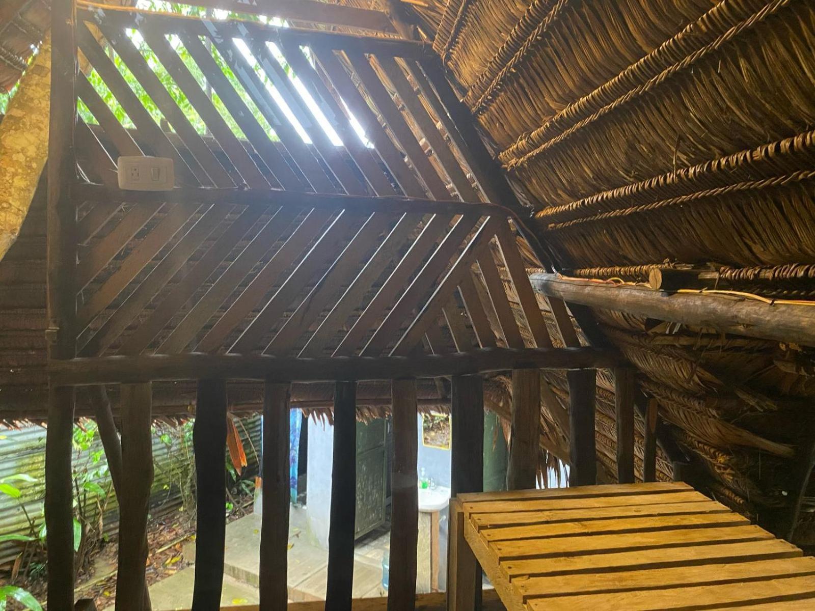 Xingu Camping Site Leticia Luaran gambar
