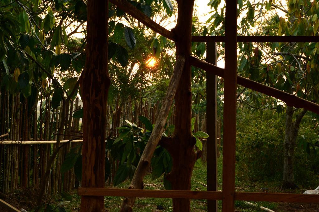 Xingu Camping Site Leticia Luaran gambar