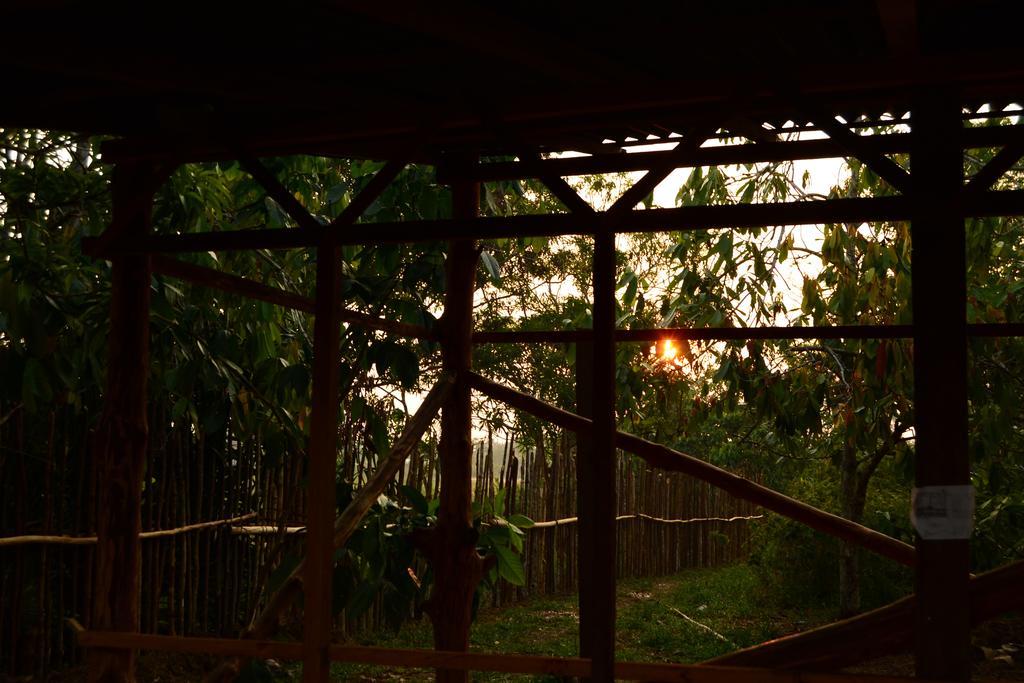 Xingu Camping Site Leticia Luaran gambar