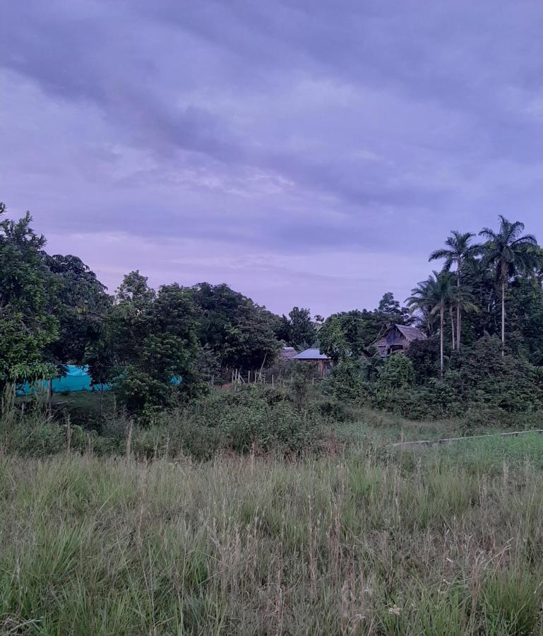 Xingu Camping Site Leticia Luaran gambar