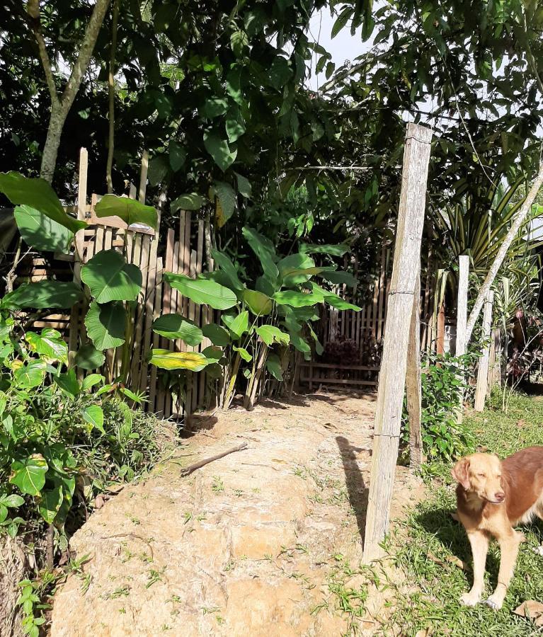 Xingu Camping Site Leticia Luaran gambar