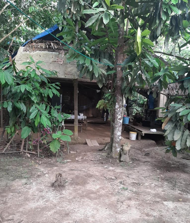 Xingu Camping Site Leticia Luaran gambar