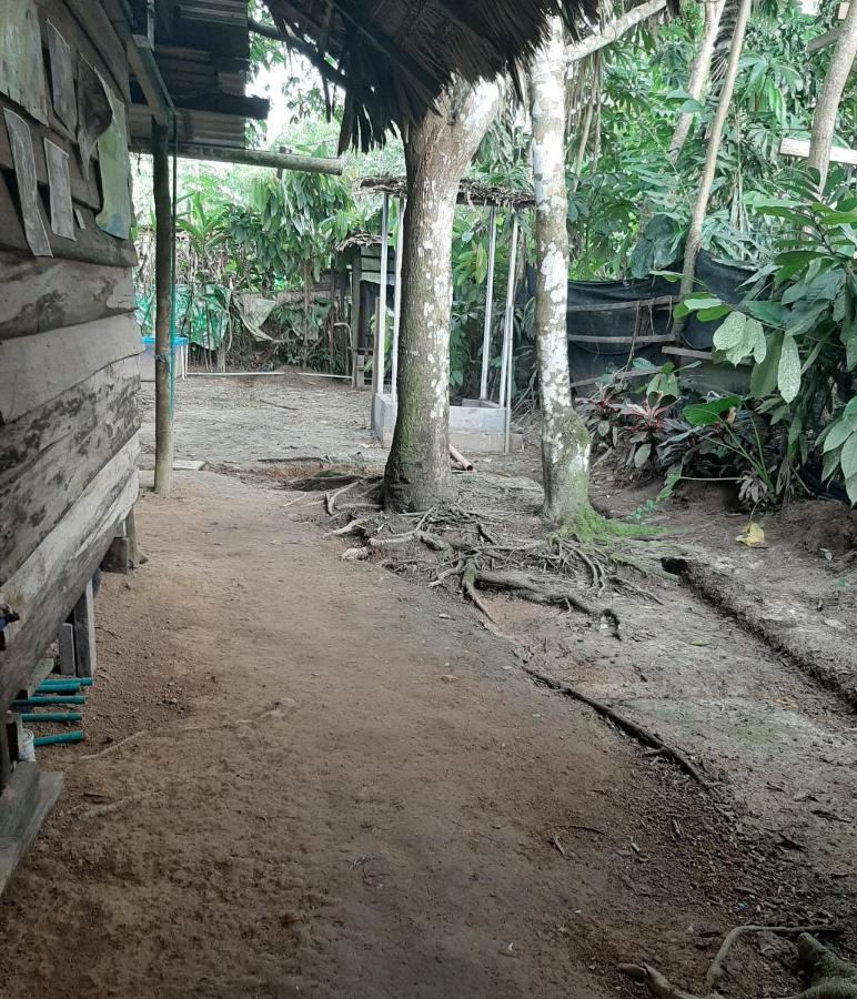 Xingu Camping Site Leticia Luaran gambar