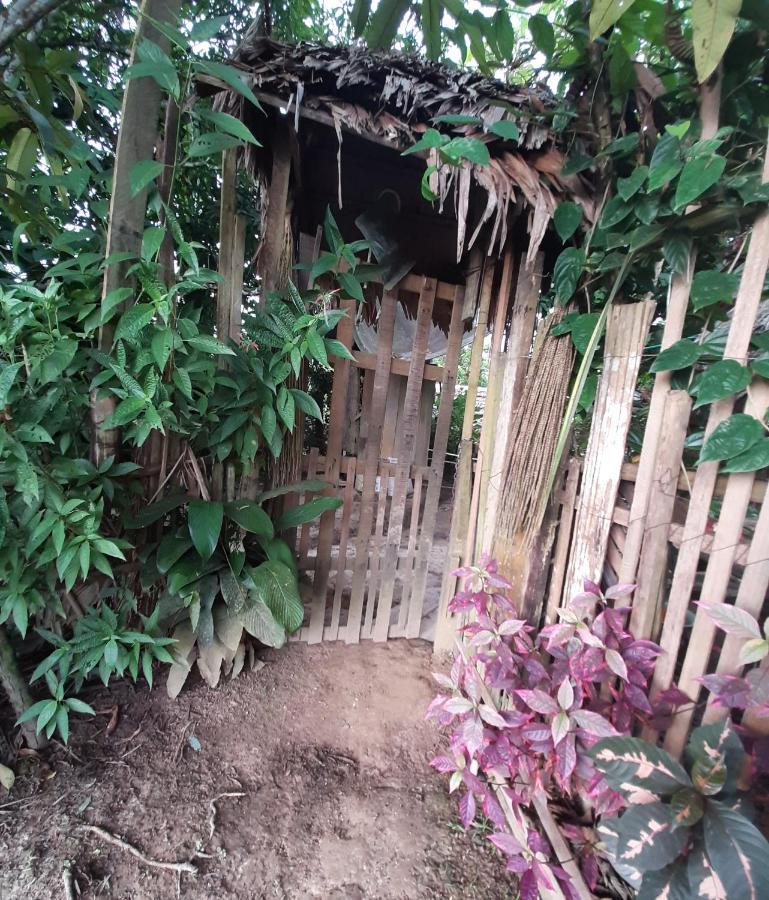 Xingu Camping Site Leticia Luaran gambar